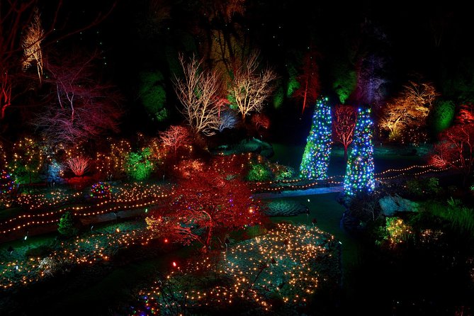 1 hour City Tour & Butchart Gardens: Christmas - Entry included! - Key points at a glance
