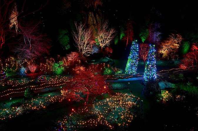 1 hour City Tour & Butchart Gardens: Christmas - Entry included! - Timing, weather, and pickup details