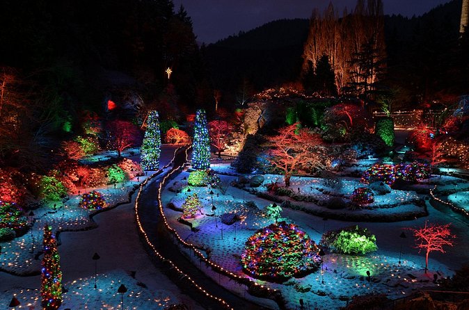 1 hour City Tour & Butchart Gardens: Christmas - Entry included! - Families and mobility considerations