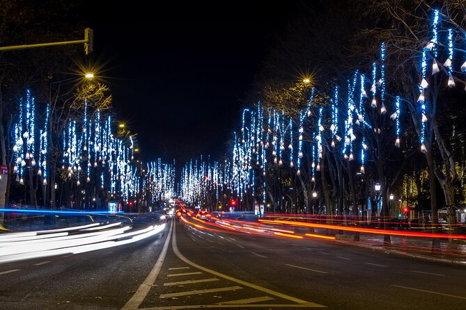 2-Hour Private Christmas Lights Tour in Lisbon Free Pick-up - Luís de Camões Square and Portugal’s sea epic