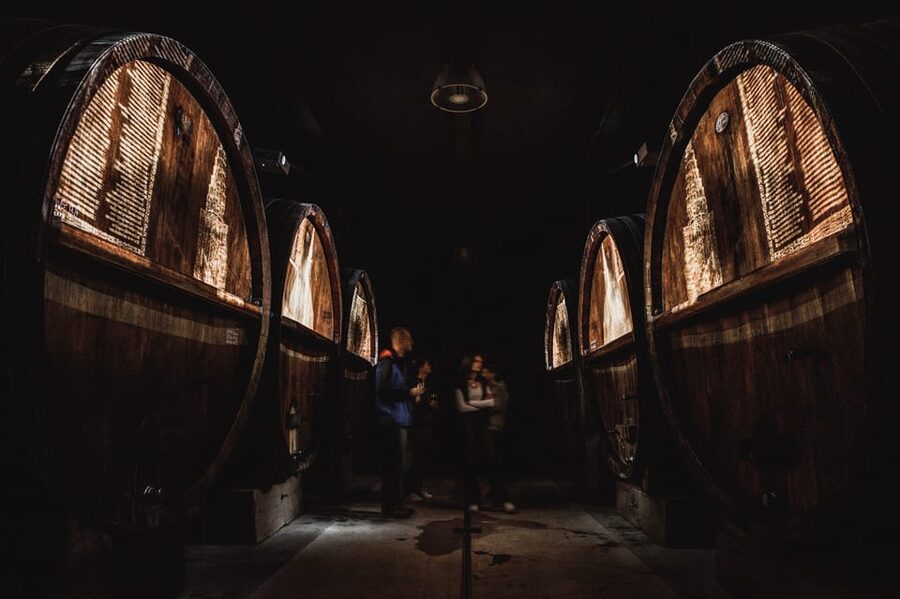 Alsatian Christmas Immersive Wine Tour with Wine Tasting - Who will enjoy this most?