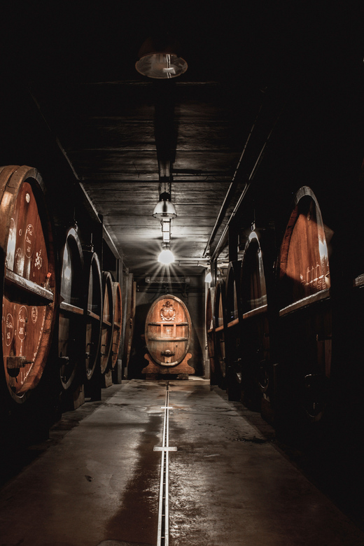 Alsatian Christmas lunch with Immersive wine cellar tour - Key points to know before you go