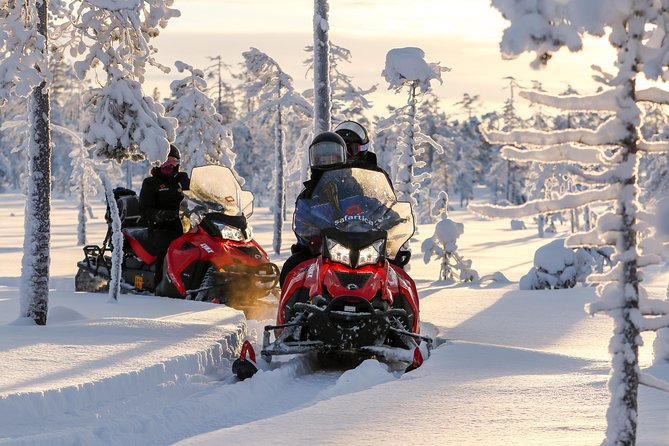 Arctic Delight - Visit to Santa's Village and snowmobiling to reindeer farm - Who will get the most from Arctic Delight?