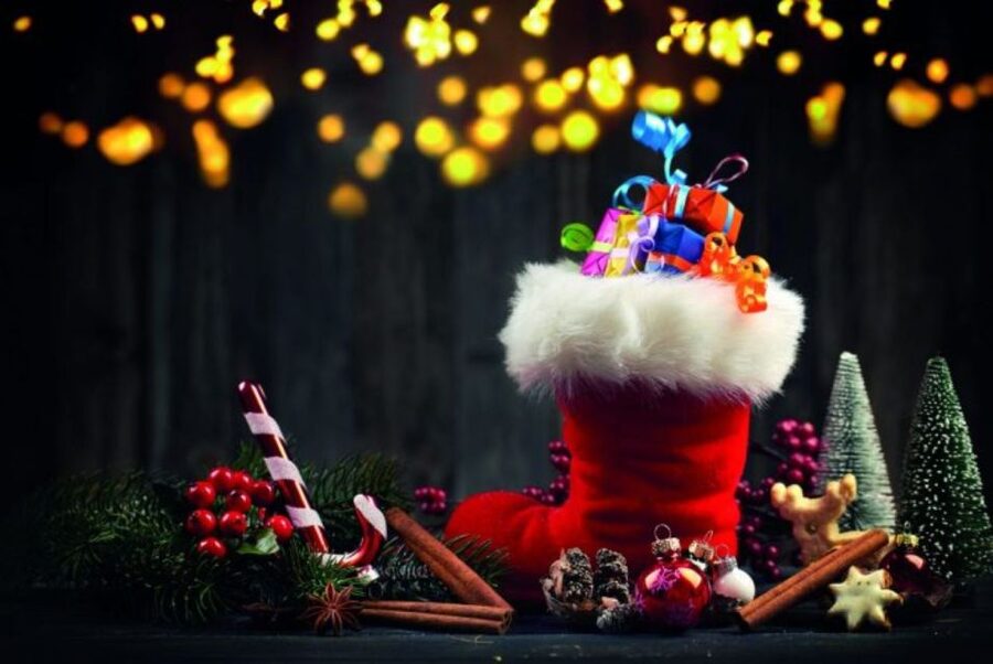 Bonn: Winter Christmas tour by boat - Key points to know before you book