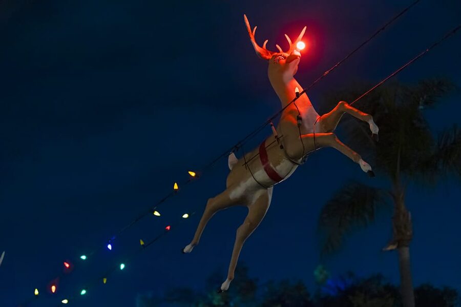 Boston: Holiday Sights and Festive Nights Trolley Tour - Key points at a glance