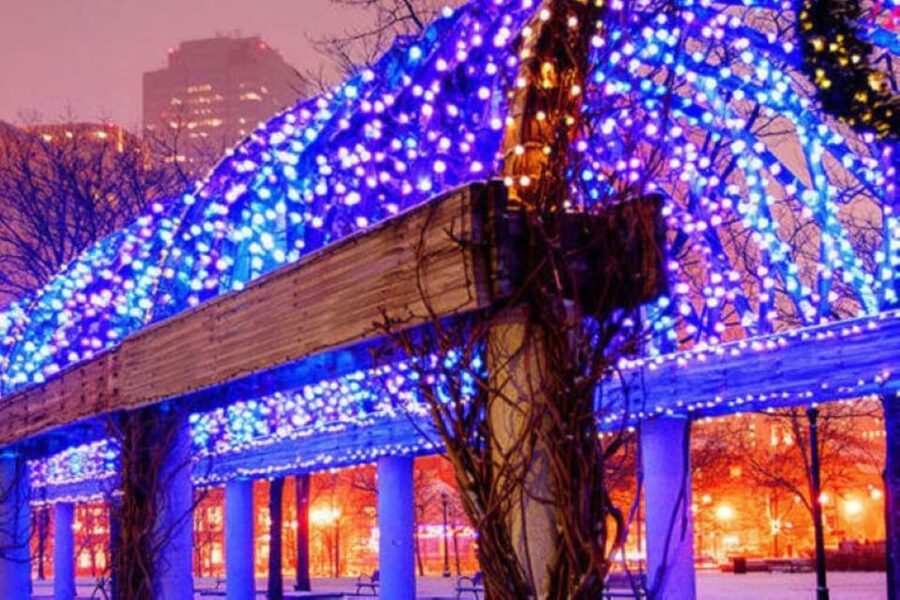 Boston: Holiday Sights and Festive Nights Trolley Tour - Boston Common, Frog Pond, and the Halifax tree