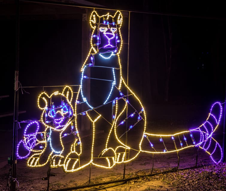 Branson: Lights of Joy Christmas Drive-Thru - How This Fits Into A Branson Christmas Evening