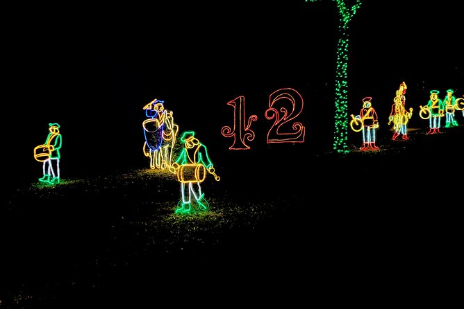 Branson VIP Christmas Light Tour - Why Branson’s holiday lights work better from a van