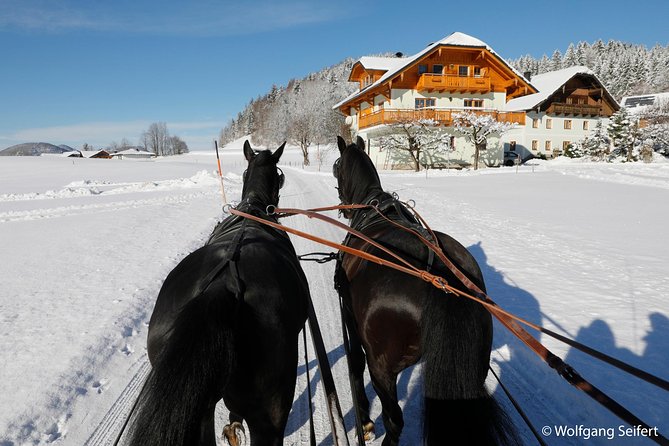 Christmas Horse-Drawn Sleigh/Carriage Ride from Salzburg - Ramsau am Dachstein, a proper Alpine setting