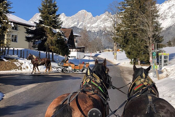 Christmas Horse-Drawn Sleigh/Carriage Ride from Salzburg - The horse-drawn sleigh ride is the reason to book