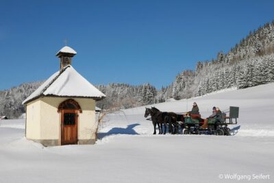 Christmas Horse-Drawn Sleigh/Carriage Ride from Salzburg