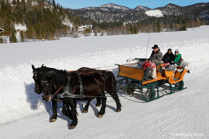 Christmas Horse-Drawn Sleigh/Carriage Ride from Salzburg - Snow is the big variable
