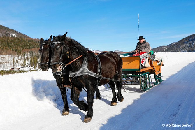 Christmas Horse-Drawn Sleigh/Carriage Ride from Salzburg - Is the $151.23 price fair?