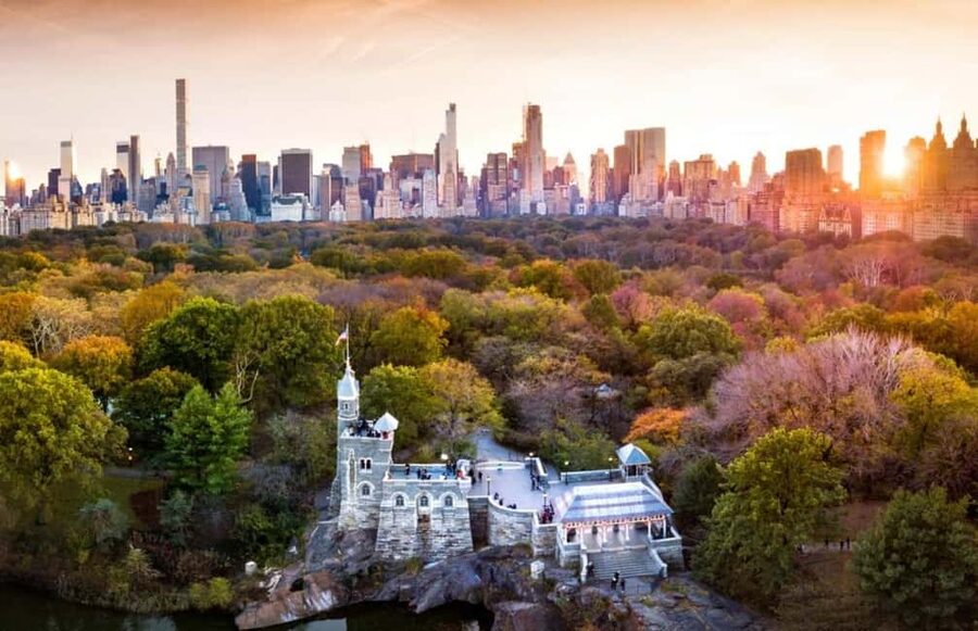 Christmas in Central Park: Horse Carriage Holiday Tour - Key details before you book