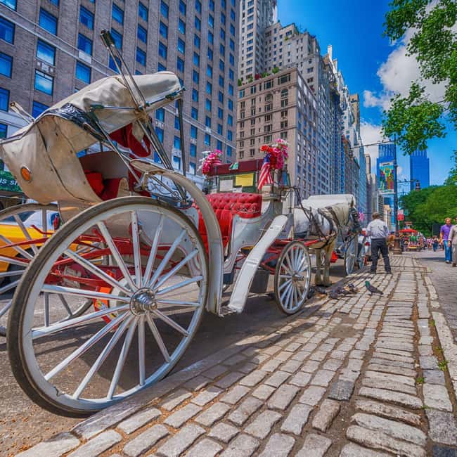 Christmas in Central Park: Horse Carriage Holiday Tour - What this Christmas carriage ride is really like