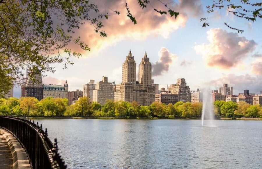Christmas in Central Park: Horse Carriage Holiday Tour - The guide can make or break the ride