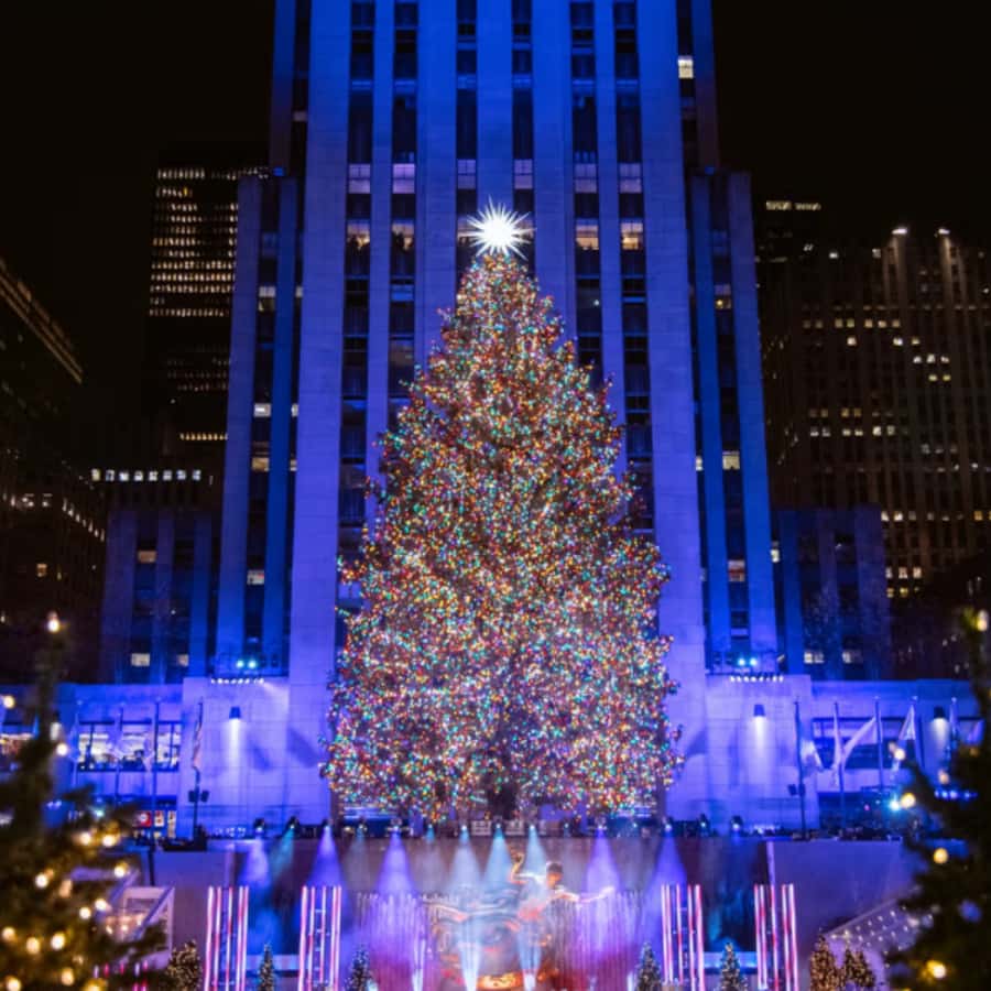 Christmas in New York: Pedicab Tour & Rockefeller Tree - Key points to know before you book