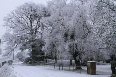 Christmas in Oxford, the Cotswolds and Stratford with Lunch