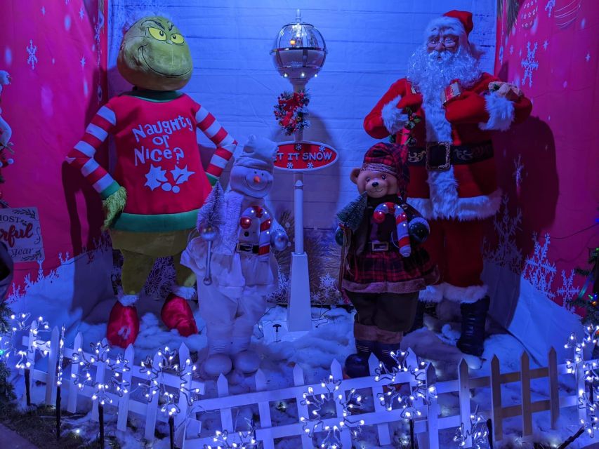 Christmas Light Night tour - Who will enjoy this Christmas tour most?