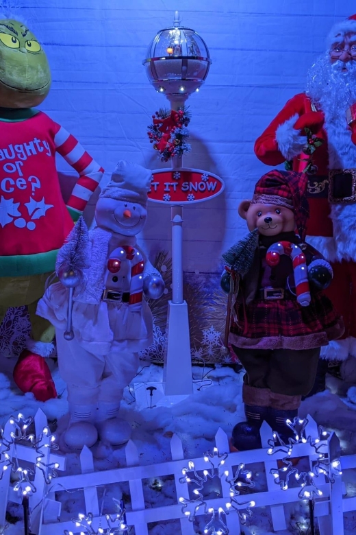 Christmas Light Night tour - Leaving Midtown at 7 PM