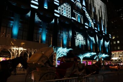 Christmas Light Private Carriage Ride New York City