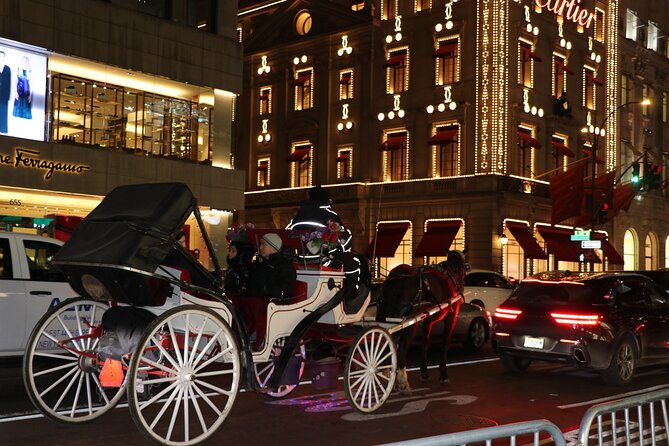 Christmas Light Private Carriage Ride New York City - A brief look at the Central Park lake