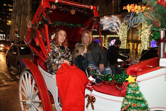 Christmas Light Private Carriage Ride New York City - Trump Tower, Saint Thomas Church, and Rockefeller Center