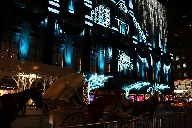 Christmas Light Private Carriage Ride New York City - The Plaza and Fifth Avenue lights