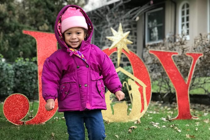 Christmas Lights Tour - Is $74 a fair price?