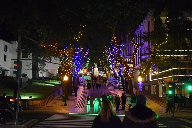Christmas Lights Tukxi Tour (price per tukxi - up to 5 people) - Starting Along Avenida Infante Dom Henrique