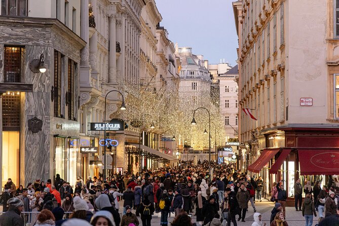 Christmas Walk Vienna : 5 Markets & Old Town in 3h (EN/DE) - MuseumsQuartier for a younger Christmas mood