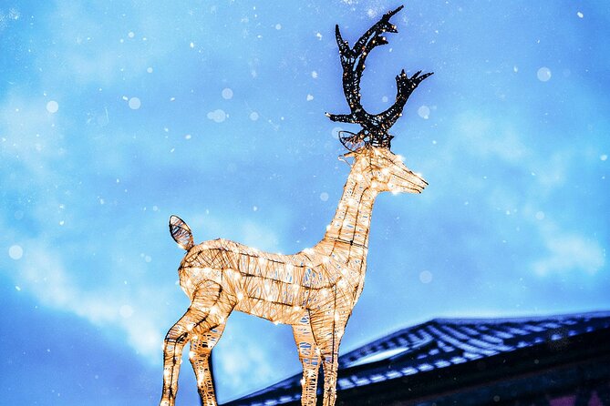 Christmas Walk Vienna : 5 Markets & Old Town in 3h (EN/DE) - Graben and Kohlmarkt under Christmas lights
