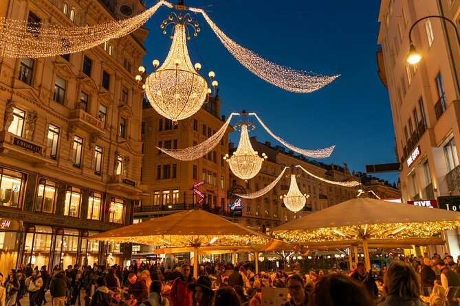 Christmas Walk Vienna : 5 Markets & Old Town in 3h (EN/DE) - Stephansplatz and the cathedral finale
