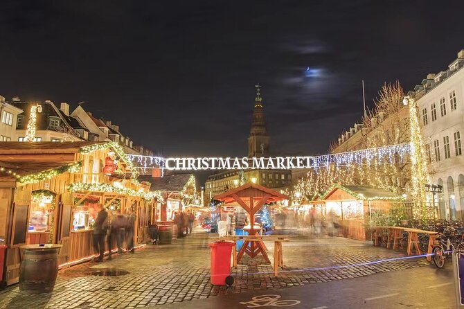 Copenhagen Private Christmas Walking Tour with Gløgg - A winter pause at the Stork Fountain