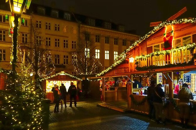Copenhagen Private Christmas Walking Tour with Gløgg - Who should book this Copenhagen experience?