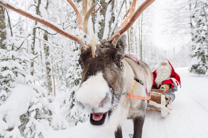 Daytour to Santa Claus Village, Reindeer and Husky Safaris, Photo, and Lunch - Meeting Santa in his office