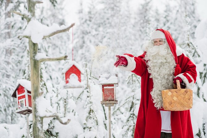 Daytour to Santa Claus Village, Reindeer and Husky Safaris, Photo, and Lunch - Sending a postcard from the Main Post Office