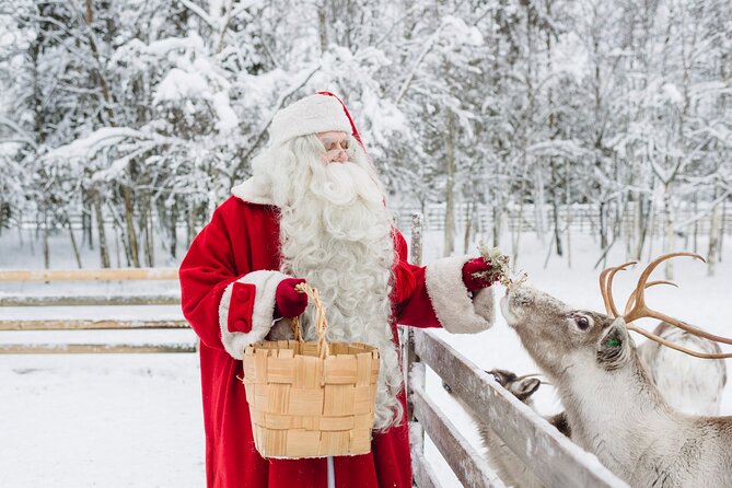 Daytour to Santa Claus Village, Reindeer and Husky Safaris, Photo, and Lunch - The 400-meter reindeer ride