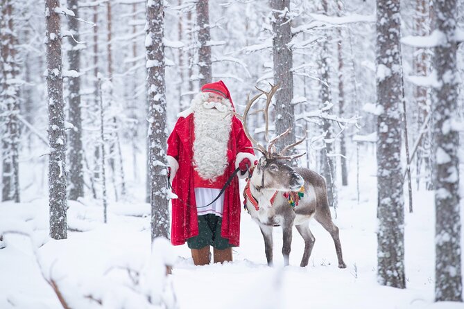 Daytour to Santa Claus Village, Reindeer and Husky Safaris, Photo, and Lunch - The 500-meter husky safari