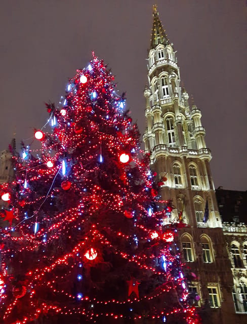 Discover the magic of Christmas in Brussels with a local guide - Meeting your guide beside Brussels Central Station