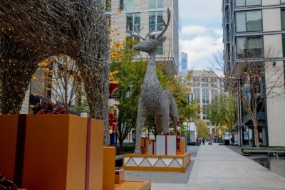 Downtown DC Holiday Tour: Lights, Decorations & Festive Cheer
