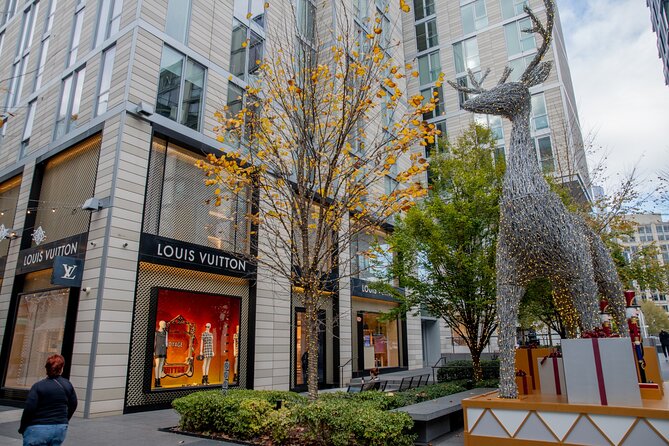 Downtown DC Holiday Tour: Lights, Decorations & Festive Cheer - Timing, meeting point, and cancellation rules