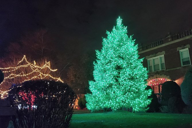 Dyker Heights Christmas Lights Guided Tour - Is $63 a fair price?