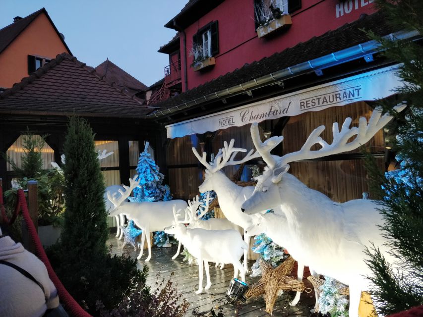 Enchanting Christmas Experience From Colmar - Eguisheim and the first Christmas streets