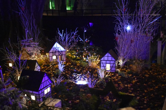 Experience the magic of Christmas in Riquewihr and Eguisheim! - Riquewihr: one hour among lights and market stalls