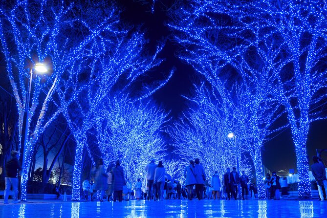 Experience the Magic of Christmas in Tokyo - Ginza and Marunouchi shift from playful to polished