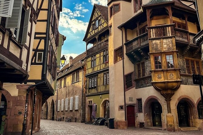 From Basel: Colmar Christmas Market & Wine Tasting Private Tour - A 90-minute visit with an organic wine producer