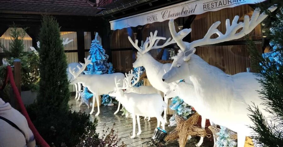 From Colmar: Christmas Markets Across 3 Borders - Five things to know before you book