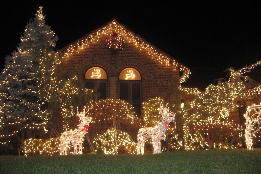 From Manhattan: 4-Hour Brooklyn Christmas Magic Tour - Key points to know before booking