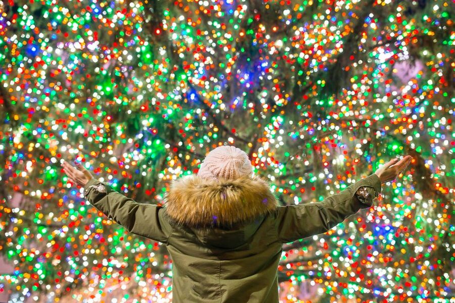 From Manhattan: 4-Hour Christmas Lights Luxury Bus Tour - Brooklyn Bridge Park and the Manhattan skyline